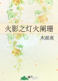 火影之燈火闌珊