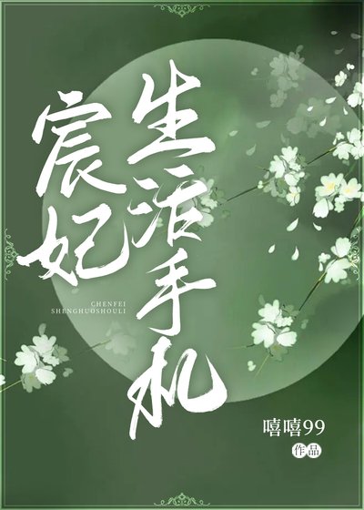 宸妃生活手札